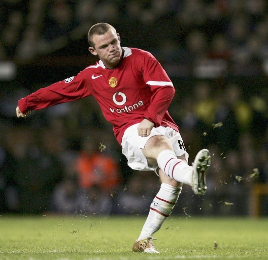 干燥的草皮 干燥的草皮