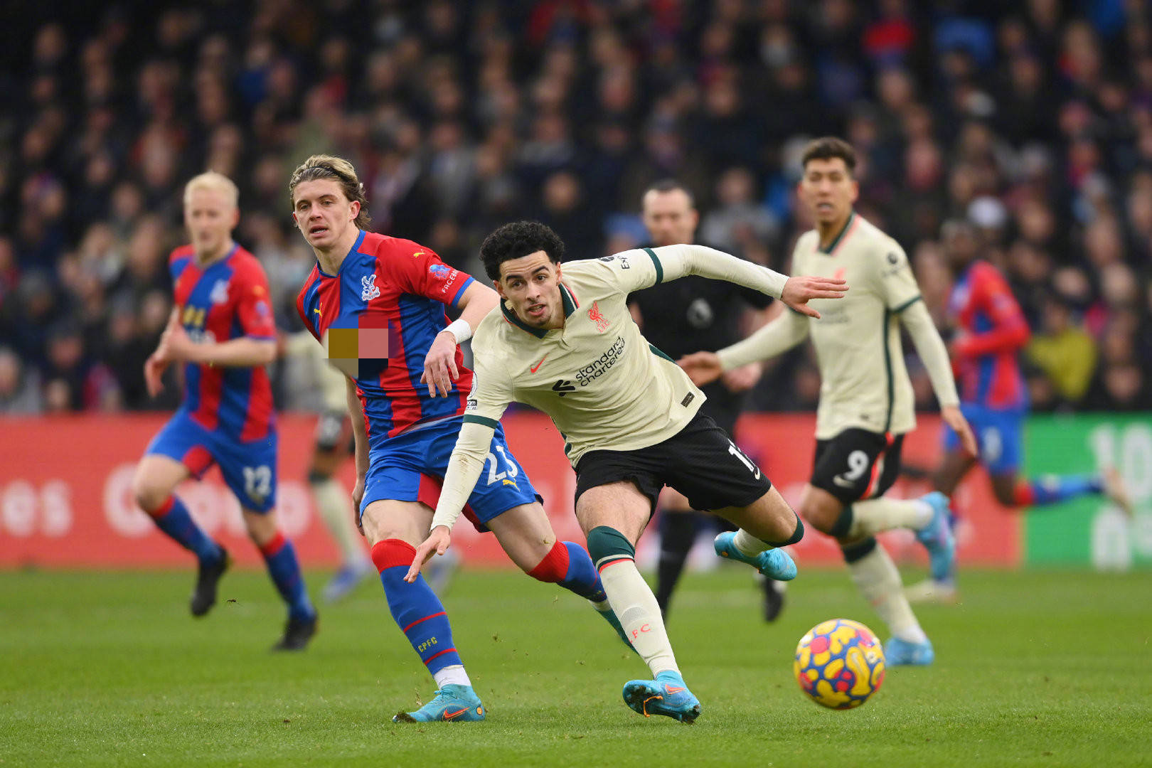 不断强调 不断强调